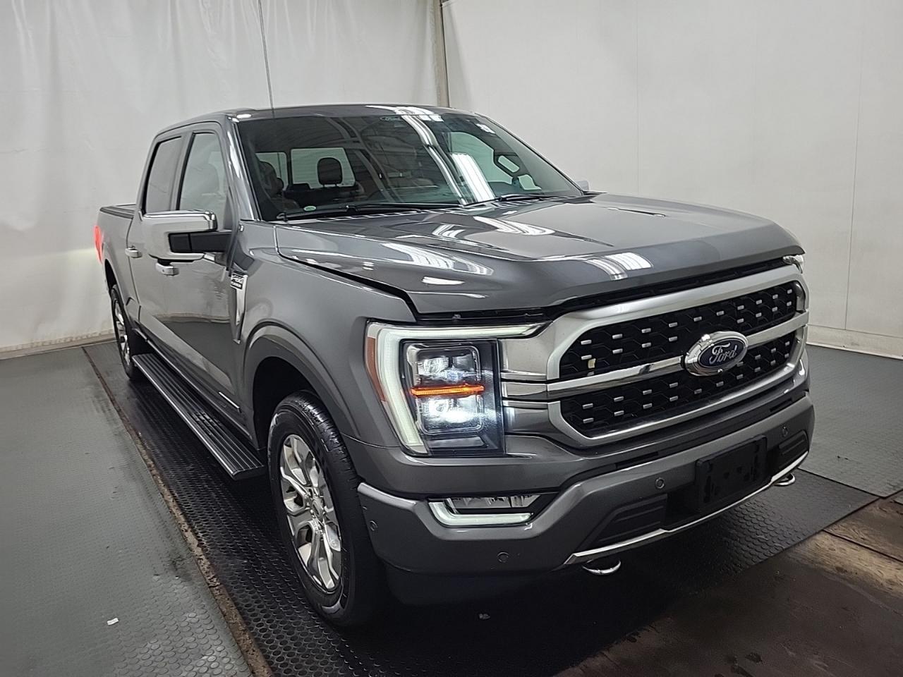 2021 Ford F-150 PLATINUM Photo5