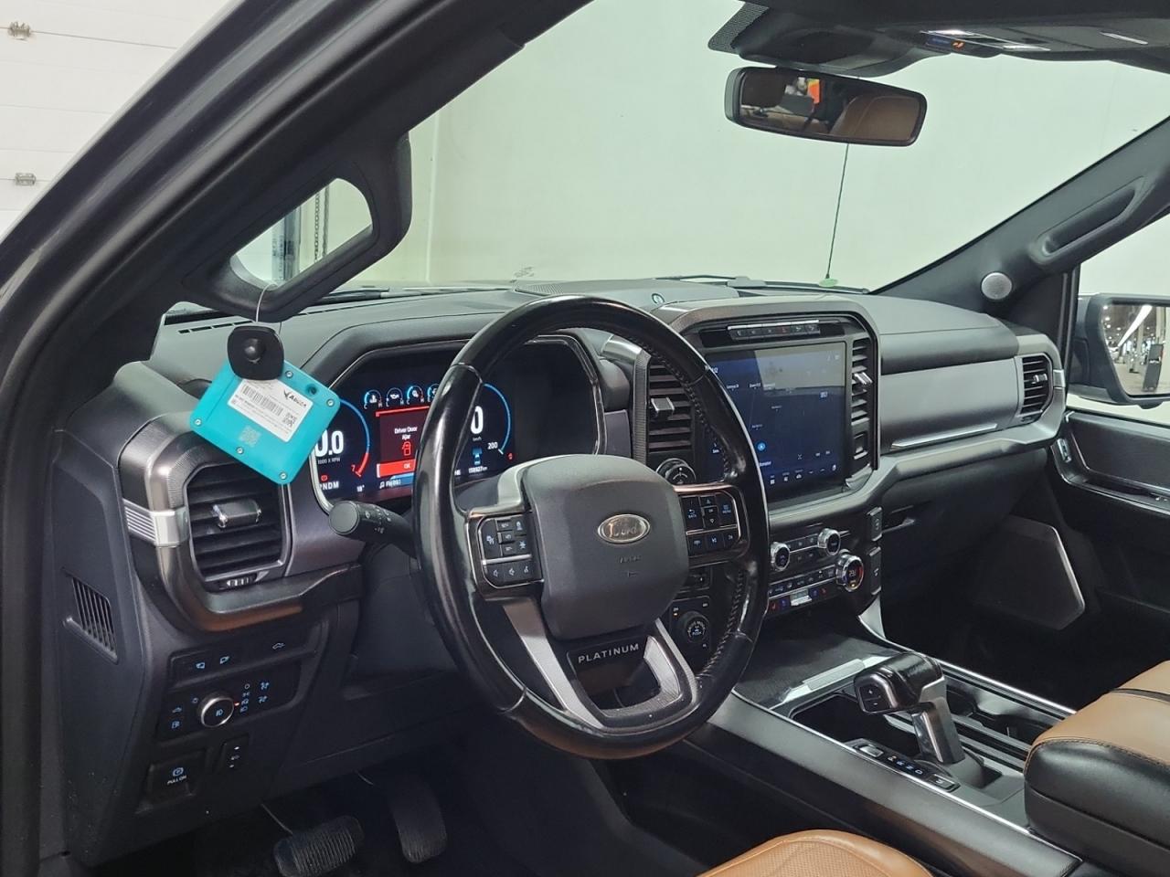 2021 Ford F-150 PLATINUM Photo5