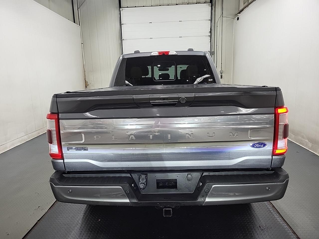2021 Ford F-150 PLATINUM Photo