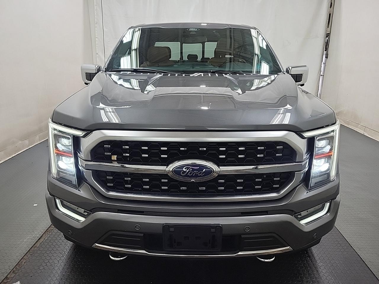 2021 Ford F-150 PLATINUM Photo4