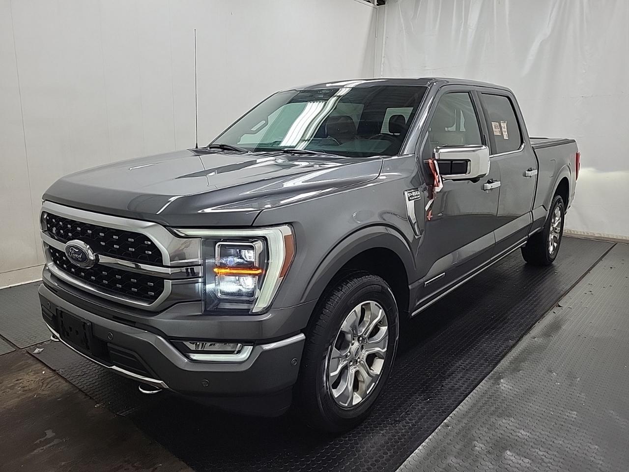 Used 2021 Ford F-150 PLATINUM for sale in Salmon Arm, BC