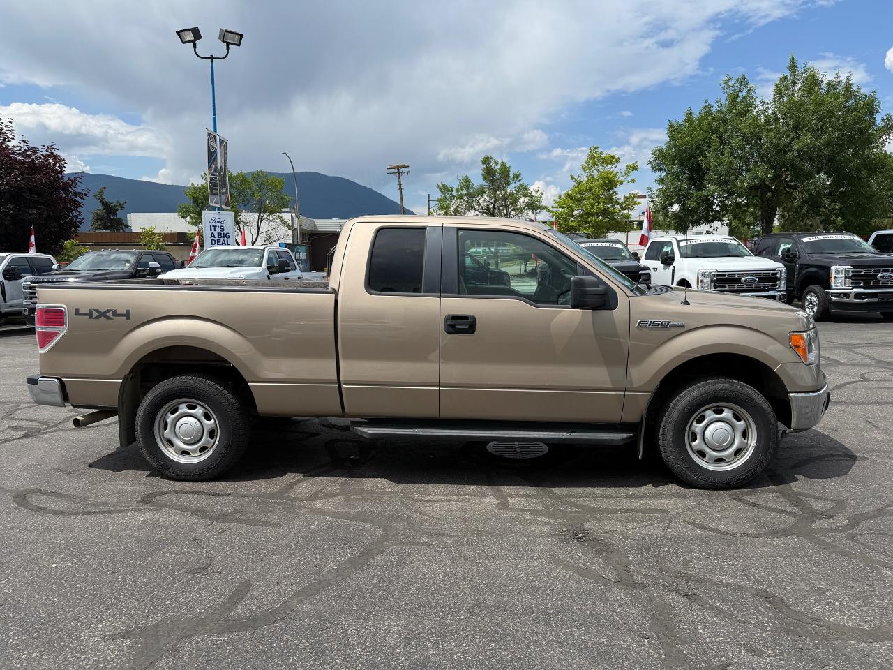 2013 Ford F-150 XLT Photo4