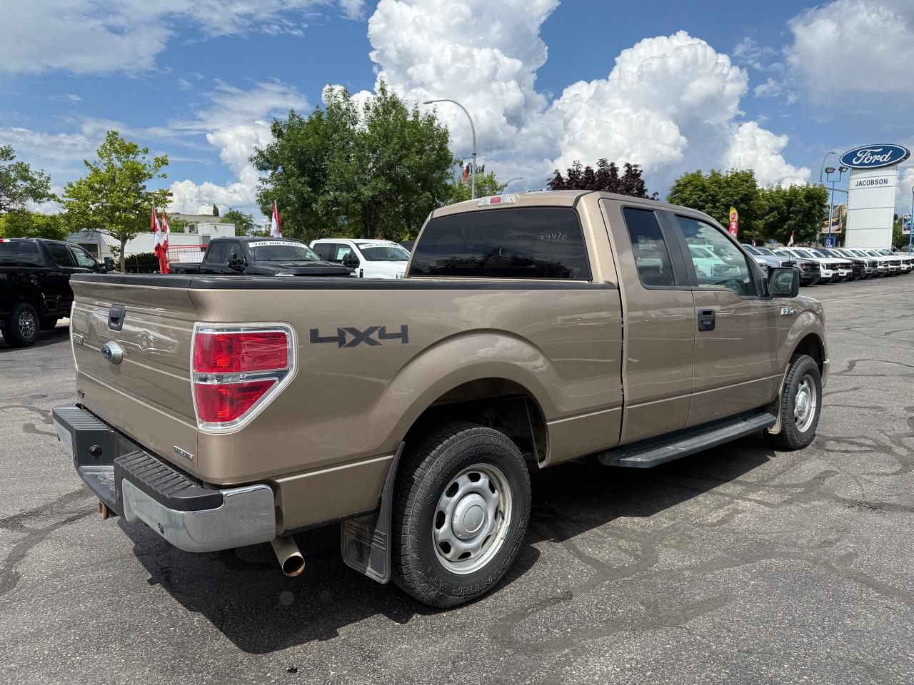 2013 Ford F-150 XLT Photo3