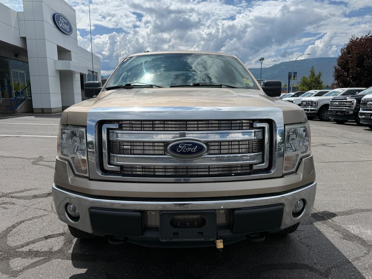 2013 Ford F-150 XLT Photo5