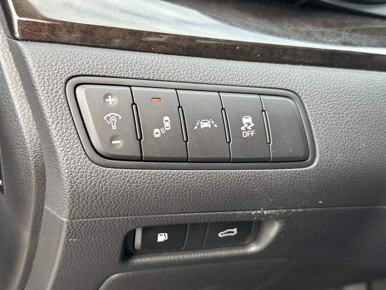 2014 Kia CADENZA Premium - Photo #25