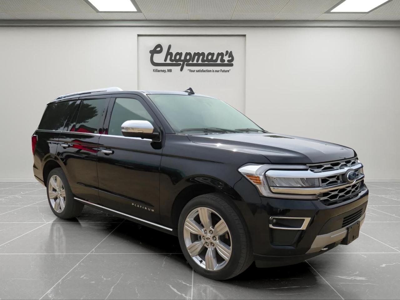 Used 2022 Ford Expedition Platinum Heated Steering Wheel, Adaptive Cruise Control, Navigation for sale in Killarney, MB