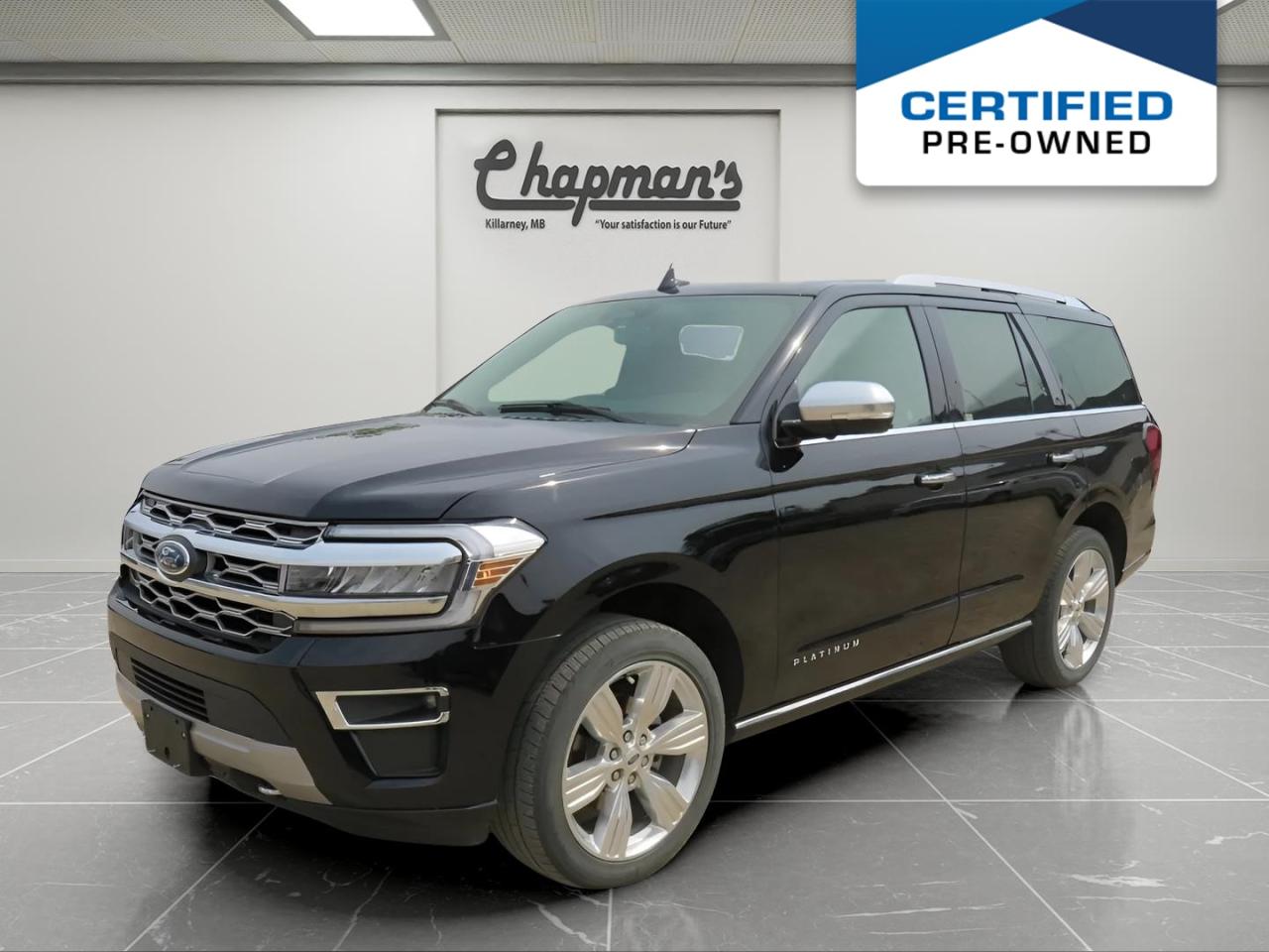 Used 2022 Ford Expedition Platinum Heated Steering Wheel, Adaptive Cruise Control, Navigation for sale in Killarney, MB
