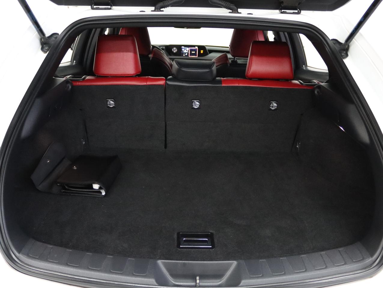 2020 Lexus UX HYBRID | F-SPORT | AWD | Red Leather | Sunroof