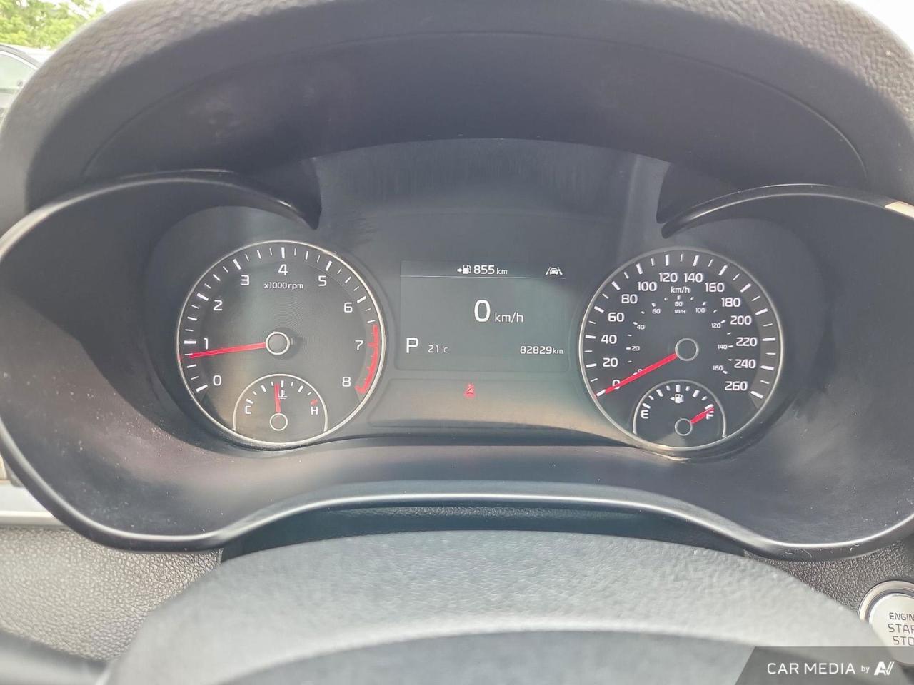 12631323