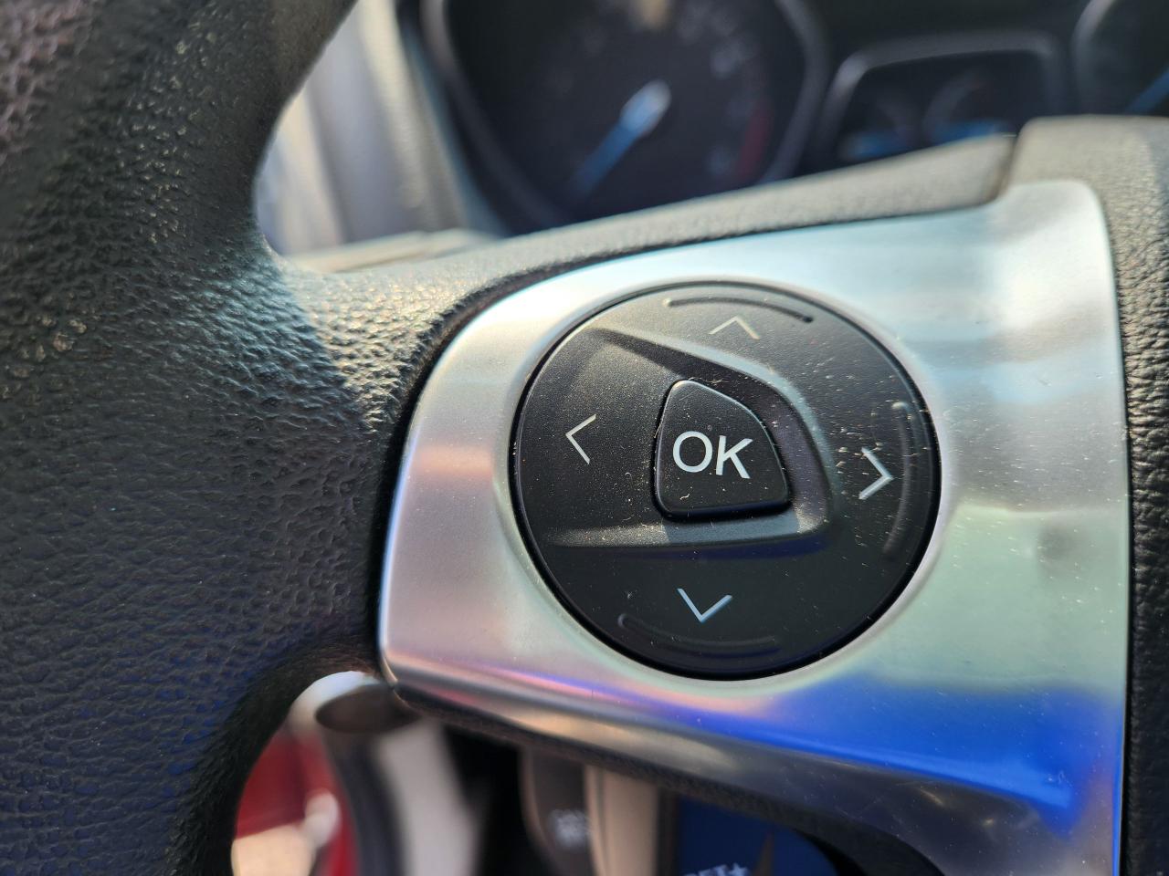 2013 Ford Focus SE - Photo #14