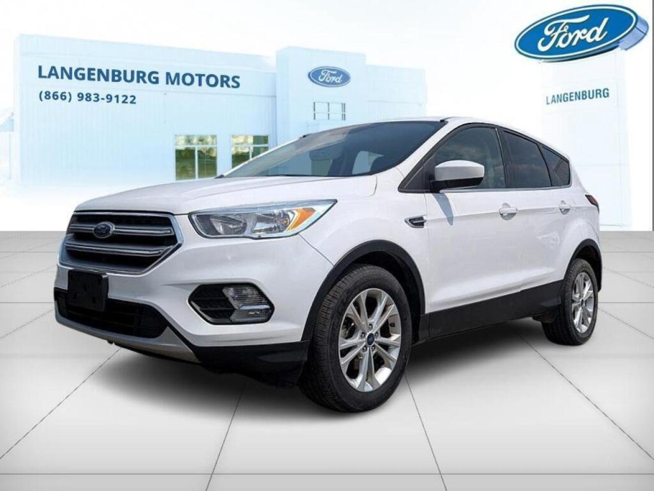 Used 2017 Ford Escape SE for sale in Langenburg, SK