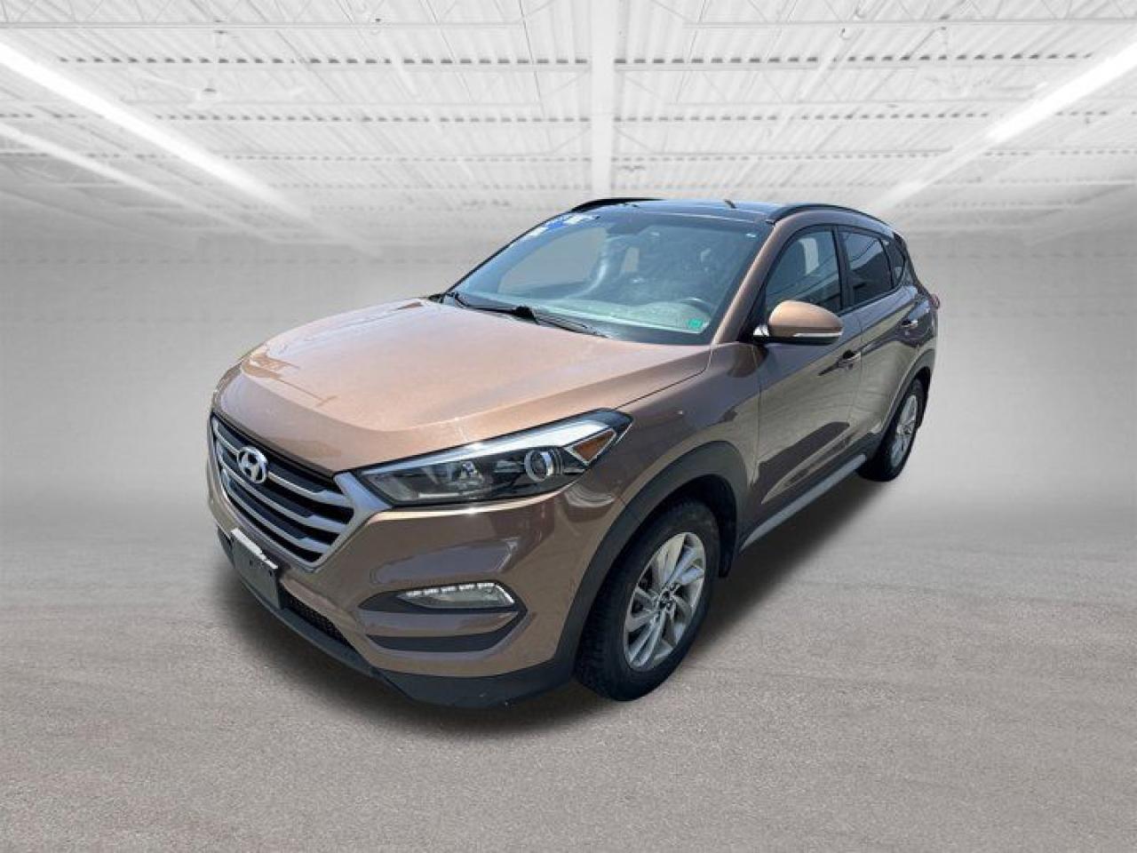 Used 2017 Hyundai Tucson SE for sale in Halifax, NS