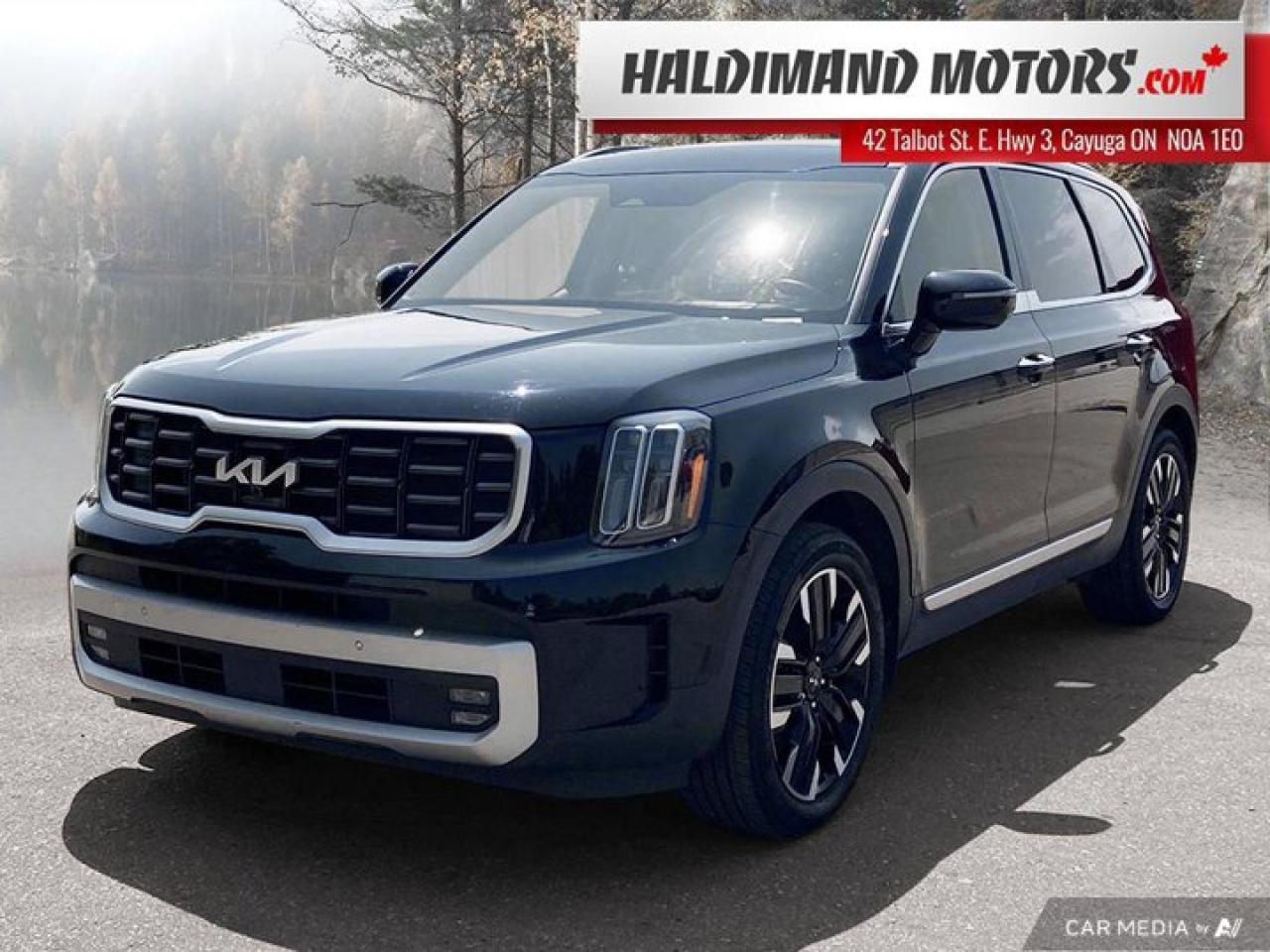 Used 2023 Kia Telluride SX Limited for sale in Cayuga, ON
