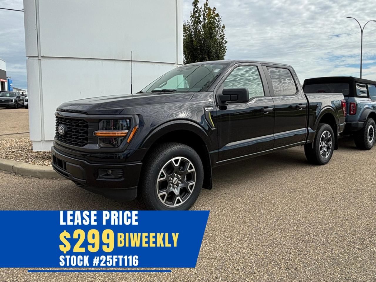 New 2025 Ford F-150 STX for sale in Lacombe, AB