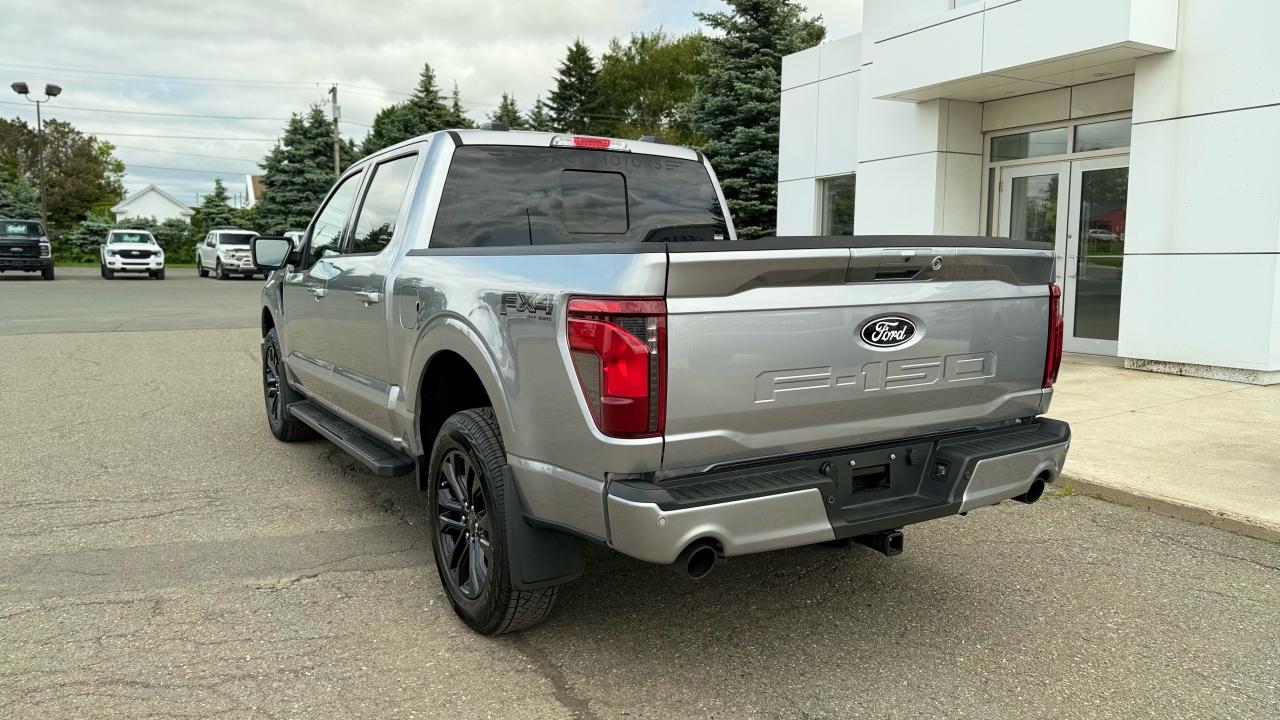 2025 Ford F-150  Photo