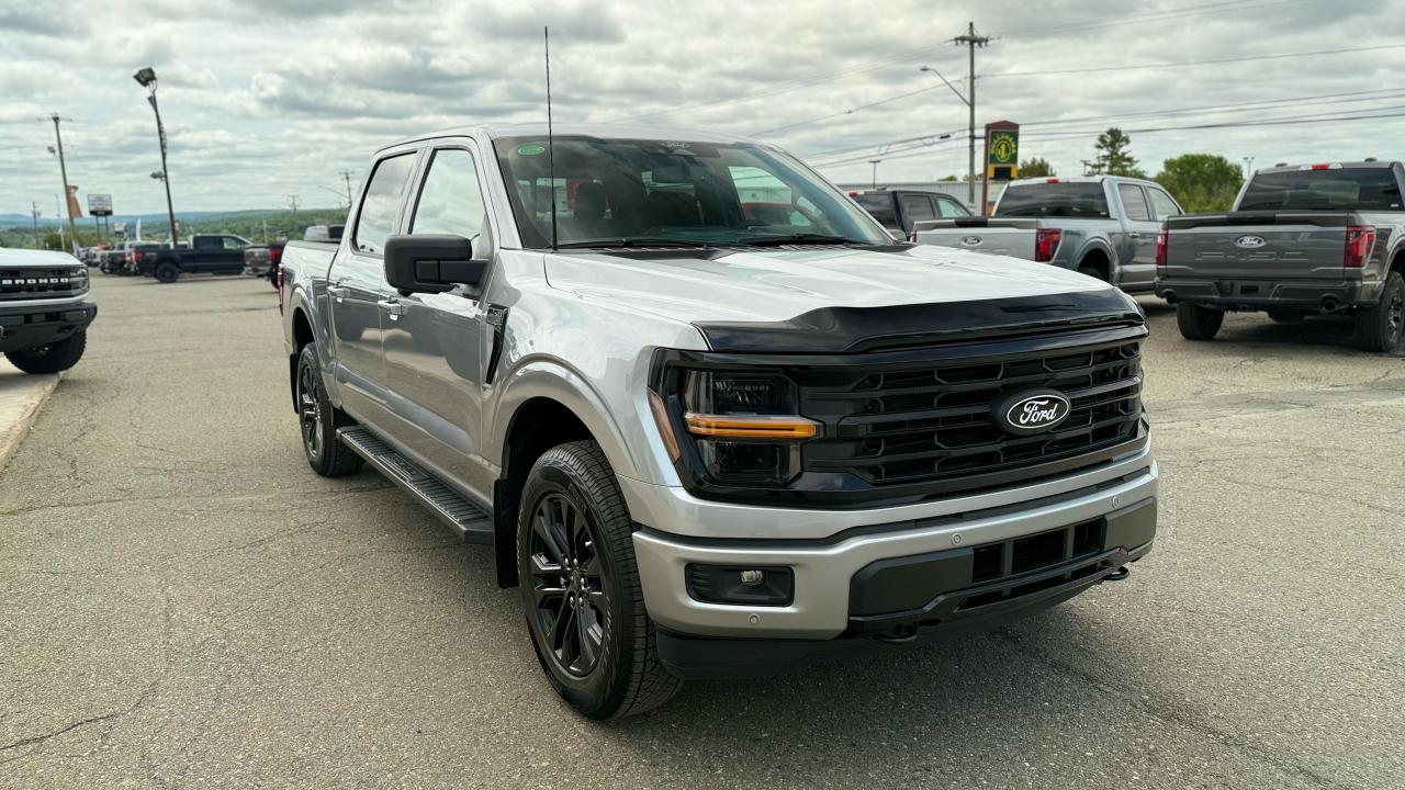 2025 Ford F-150  Photo1