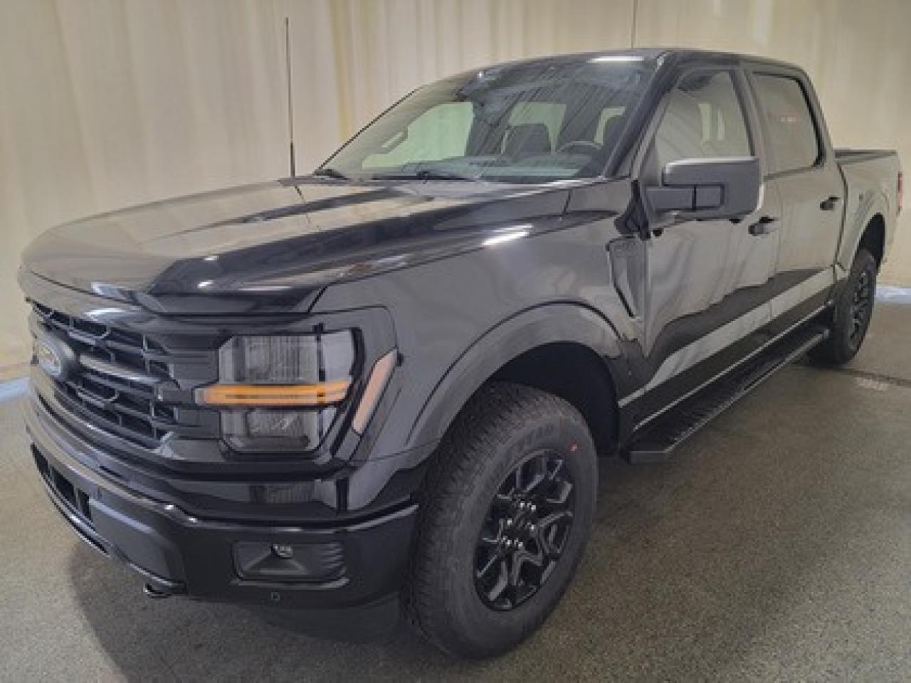 New 2025 Ford F-150 XLT W/ 360 DEGREE CAMERA for sale in Regina, SK