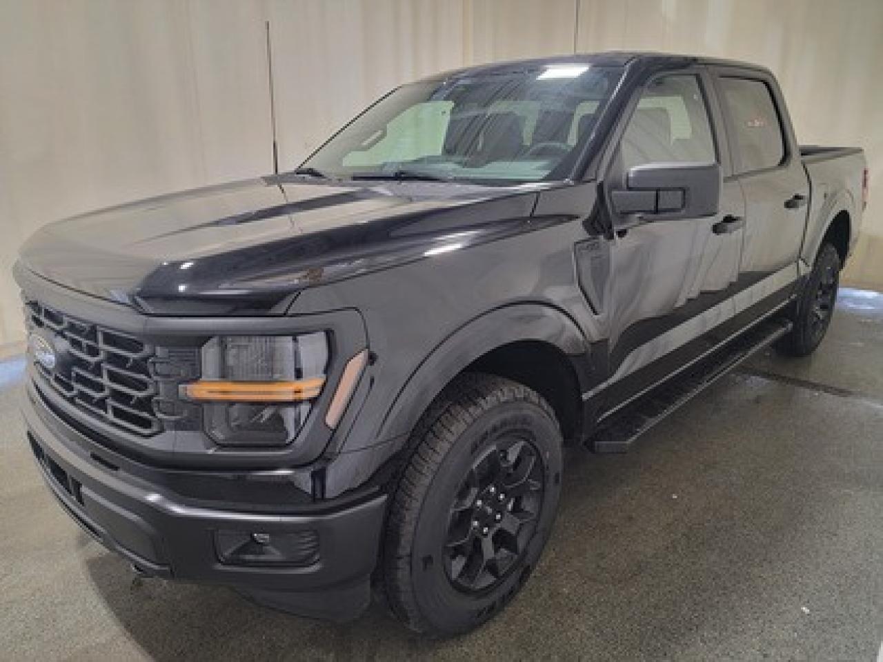 New 2025 Ford F-150 STX W/ALL WEATHER PACKAGE for sale in Regina, SK