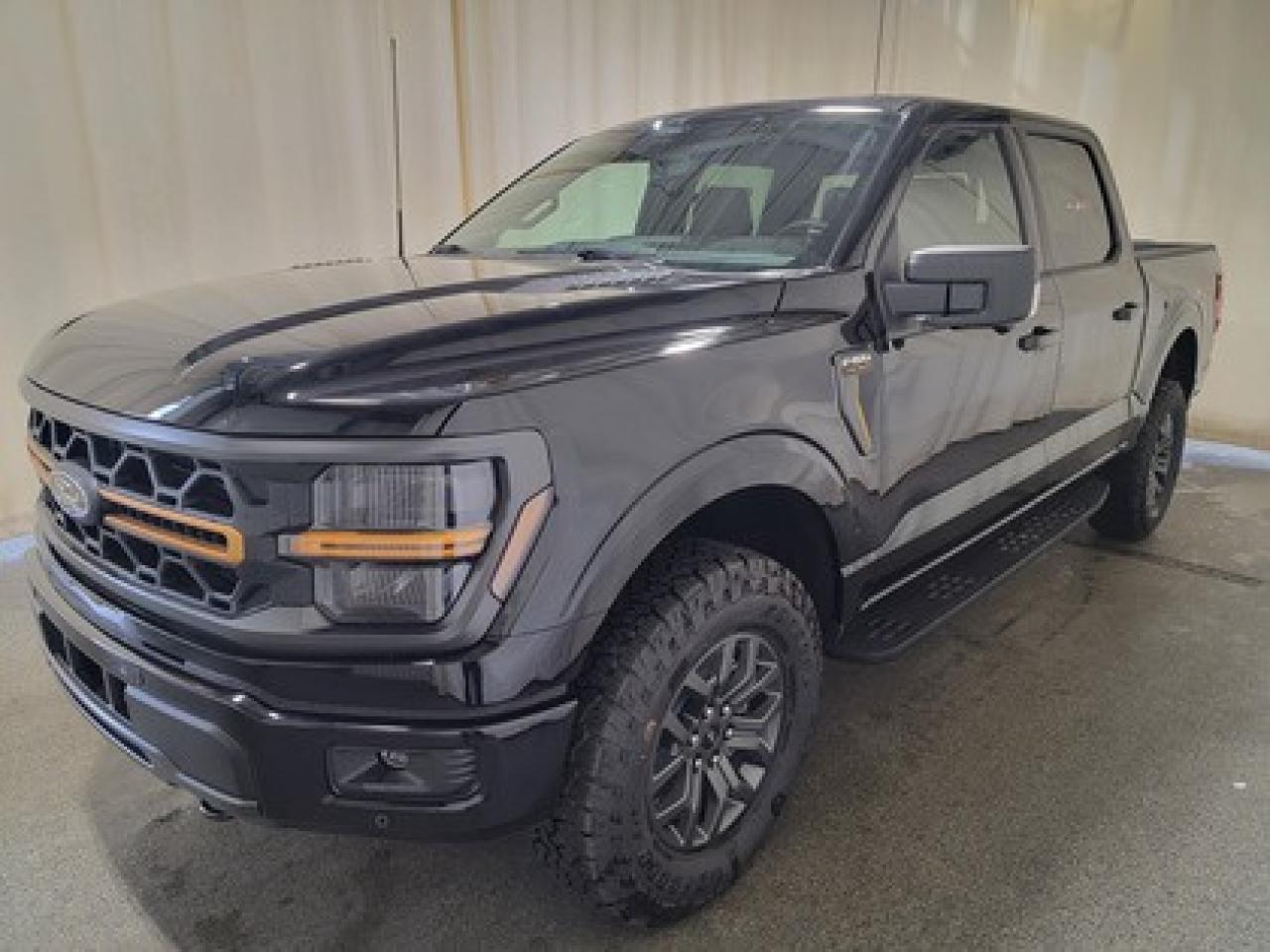 New 2025 Ford F-150 TREMOR W/ REAR VIEW CAMERA for sale in Regina, SK