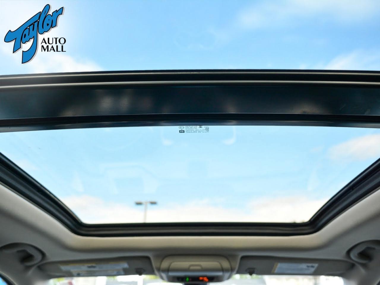 2024 GMC Terrain Denali Photo