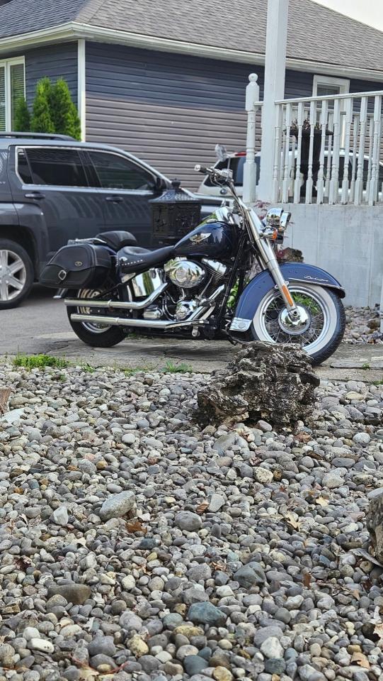 2008 Harley-Davidson Softail Deluxe 1600cc - Photo #1