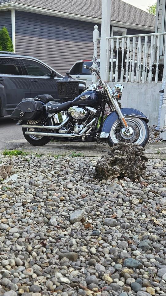 2008 Harley-Davidson Softail Deluxe 1600cc - Photo #2