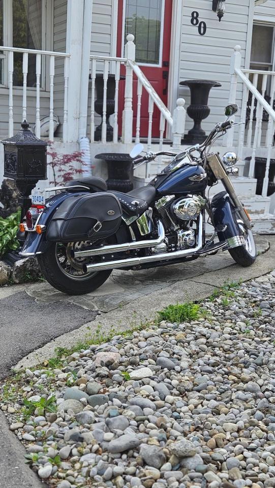 2008 Harley-Davidson Softail Deluxe 1600cc - Photo #3