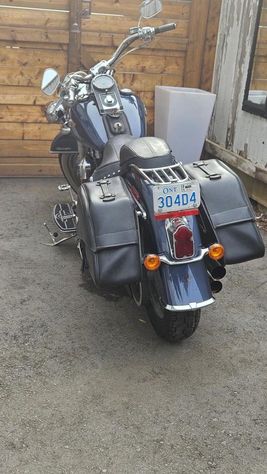 2008 Harley-Davidson Softail Deluxe 1600cc - Photo #5