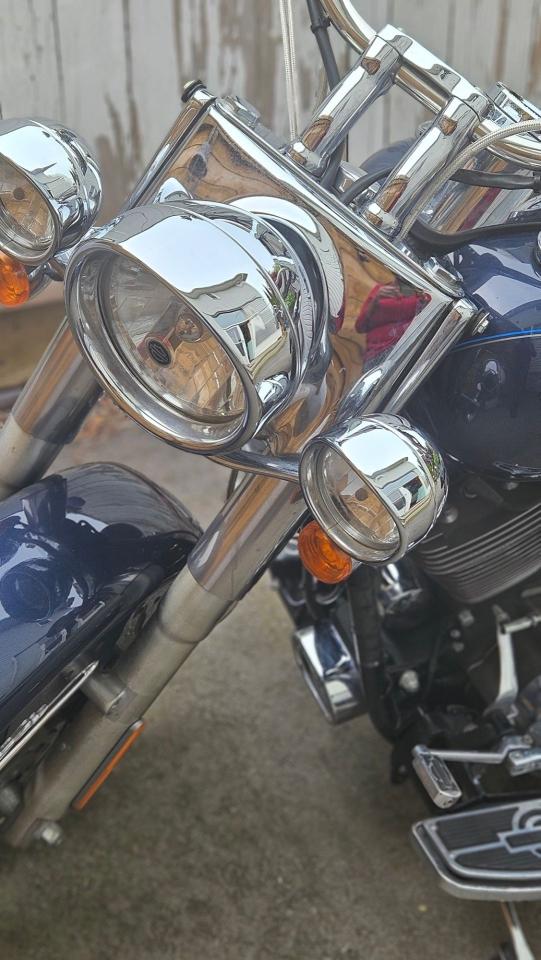 2008 Harley-Davidson Softail Deluxe 1600cc - Photo #7