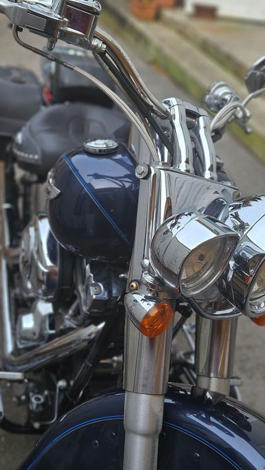 2008 Harley-Davidson Softail Deluxe 1600cc - Photo #8