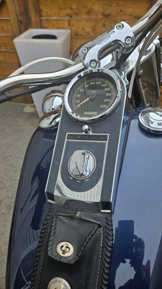 2008 Harley-Davidson Softail Deluxe 1600cc - Photo #10