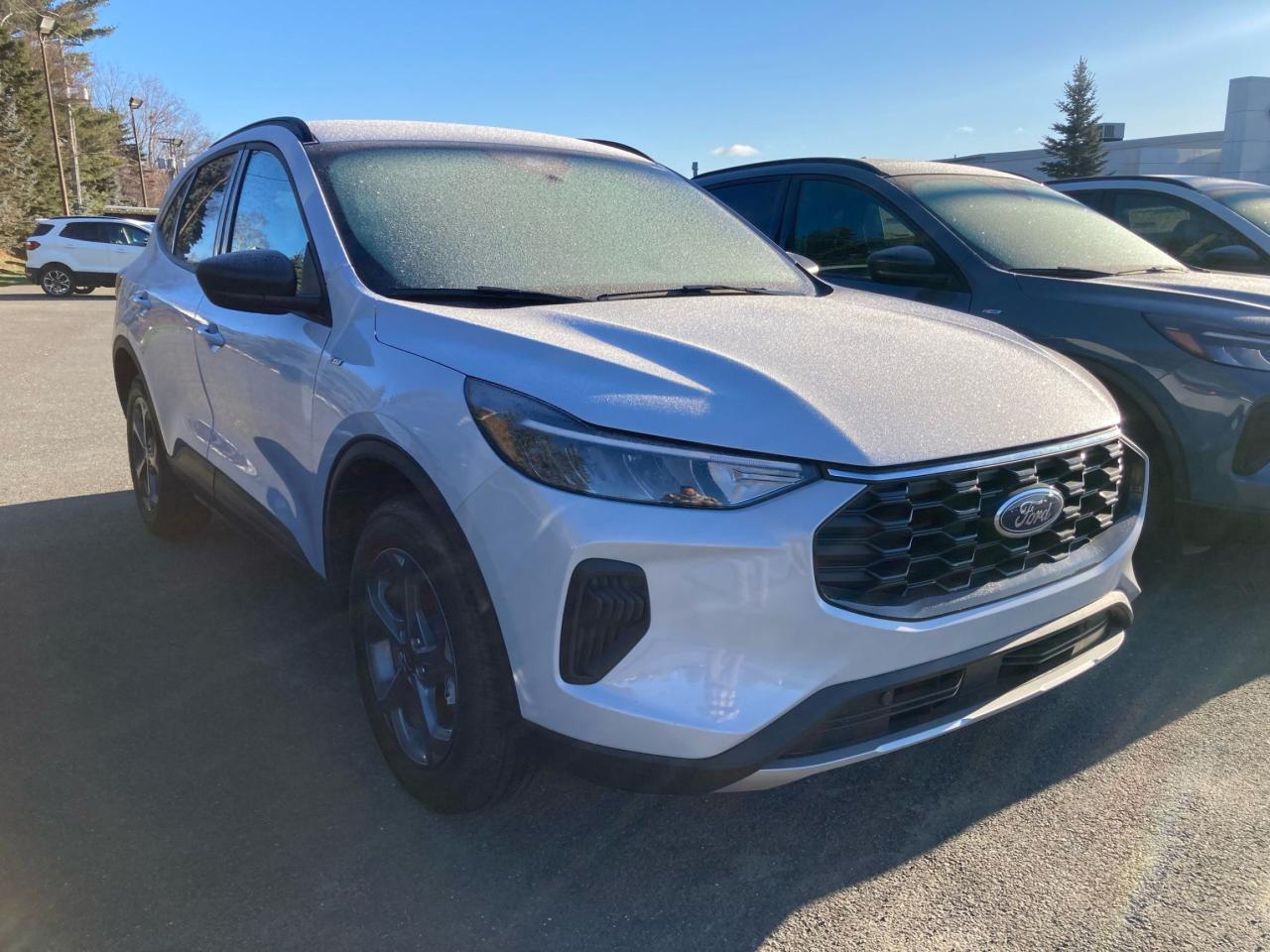 New 2025 Ford Escape ST-Line for sale in Mississauga, ON