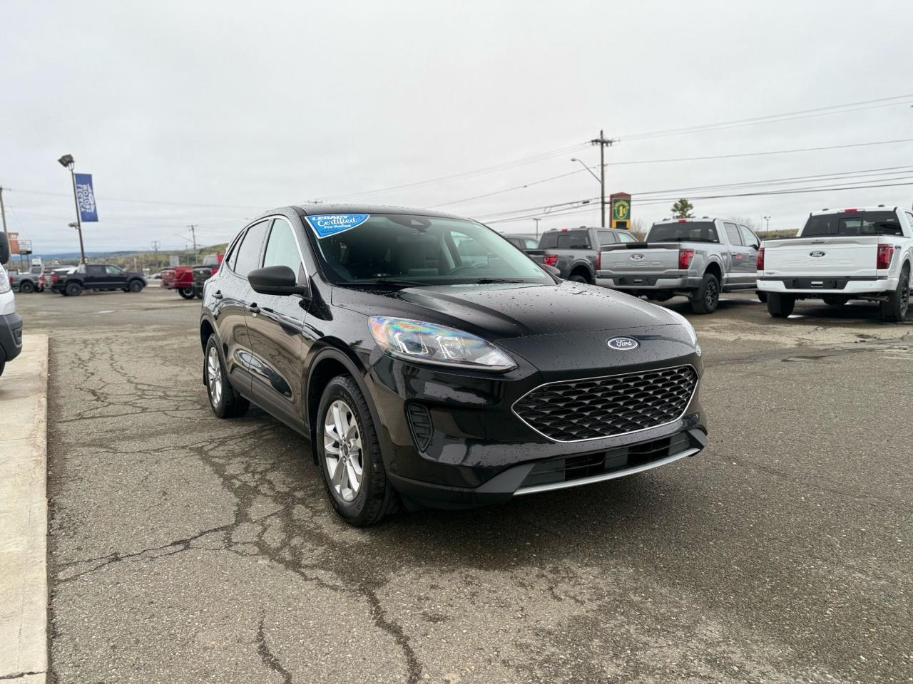 2022 Ford Escape  Photo1