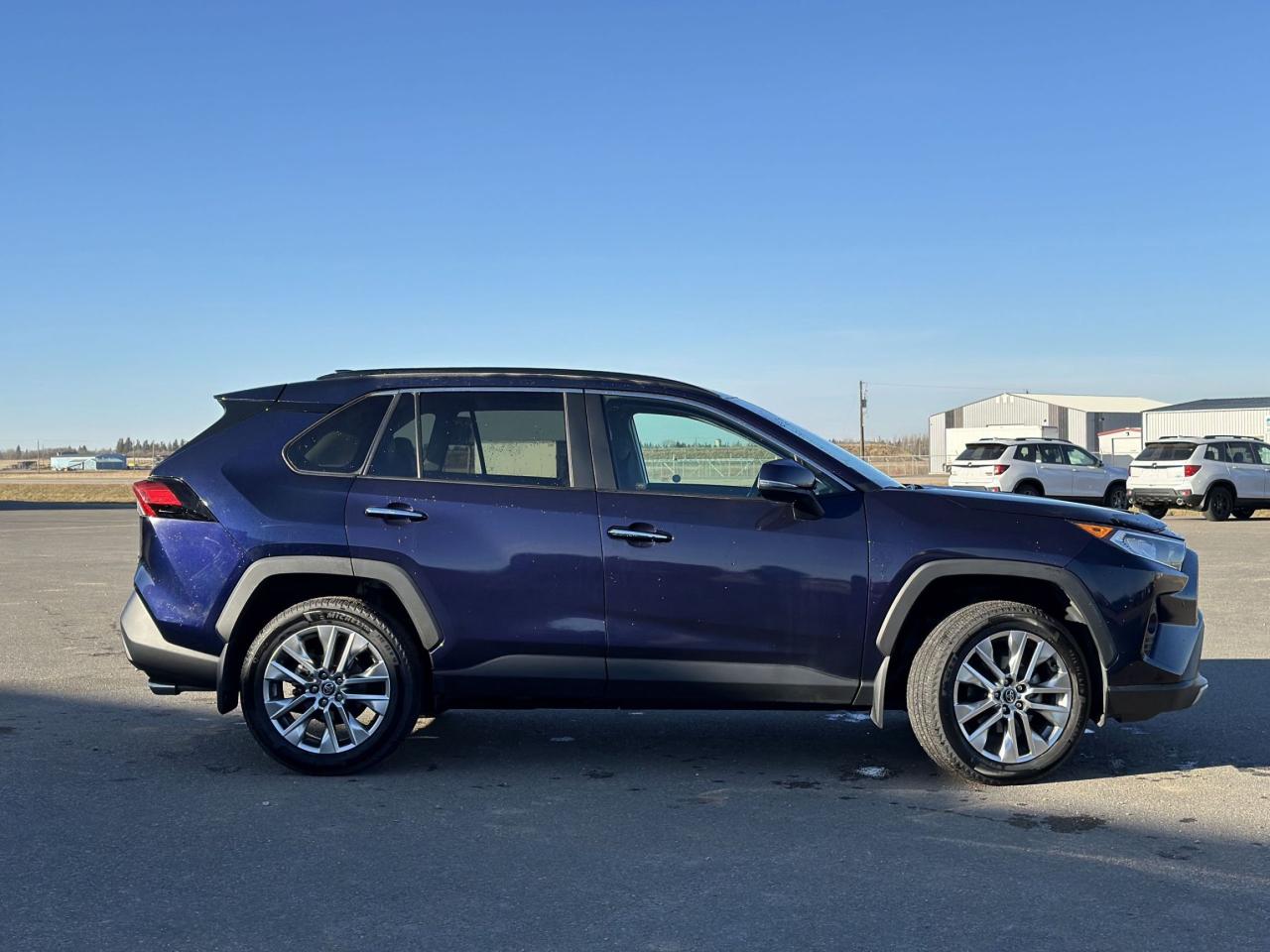 2019 Toyota RAV4 LIMITED  Photo3