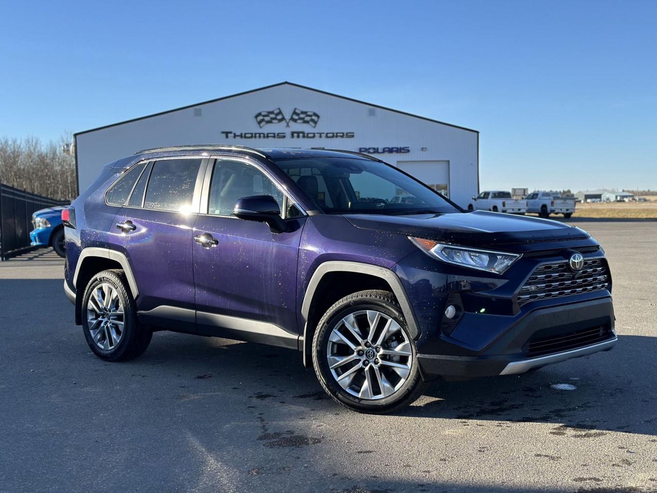 2019 Toyota RAV4 LIMITED  Photo2