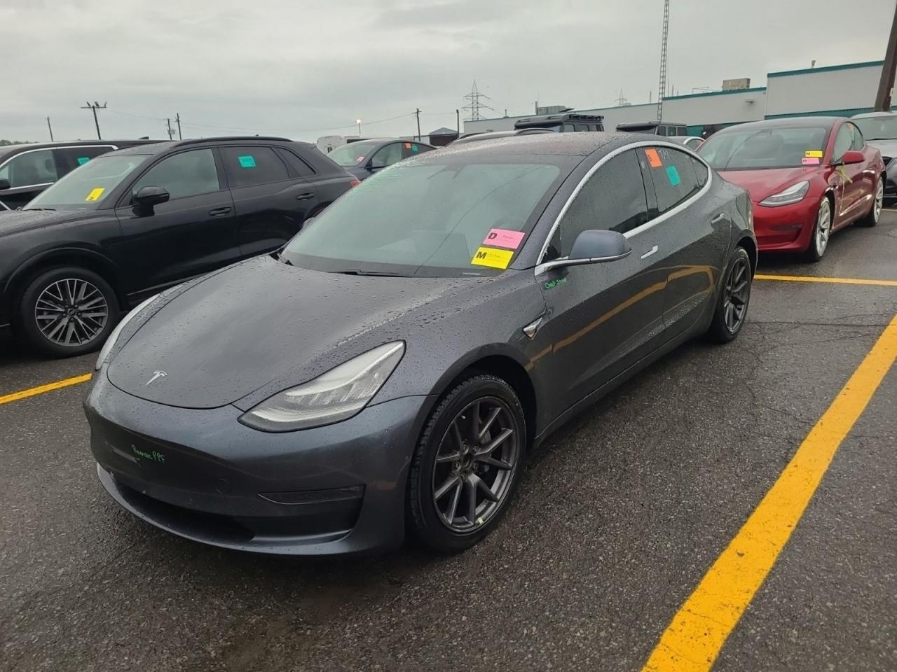 Used 2019 Tesla Model 3 LONG RANGE / White Int / Pano Roof / Blind Spot Cam for sale in Mississauga, ON