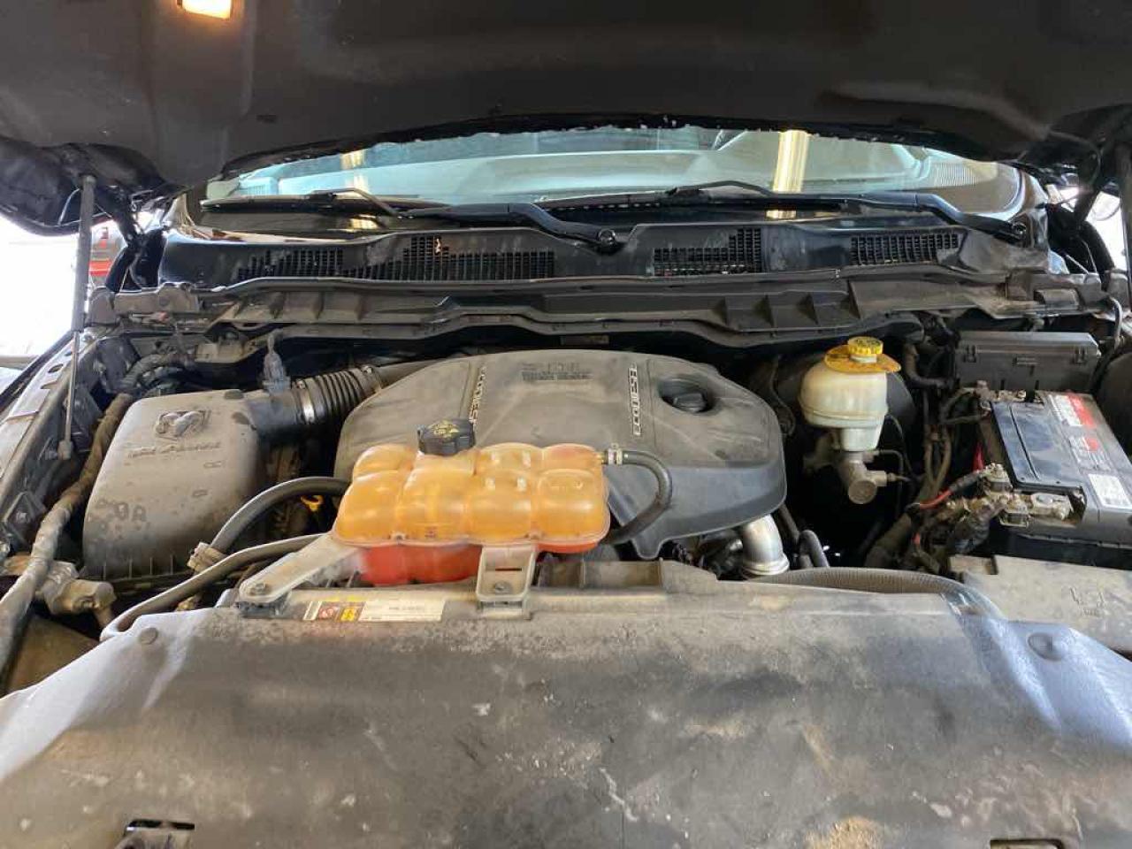 12635955