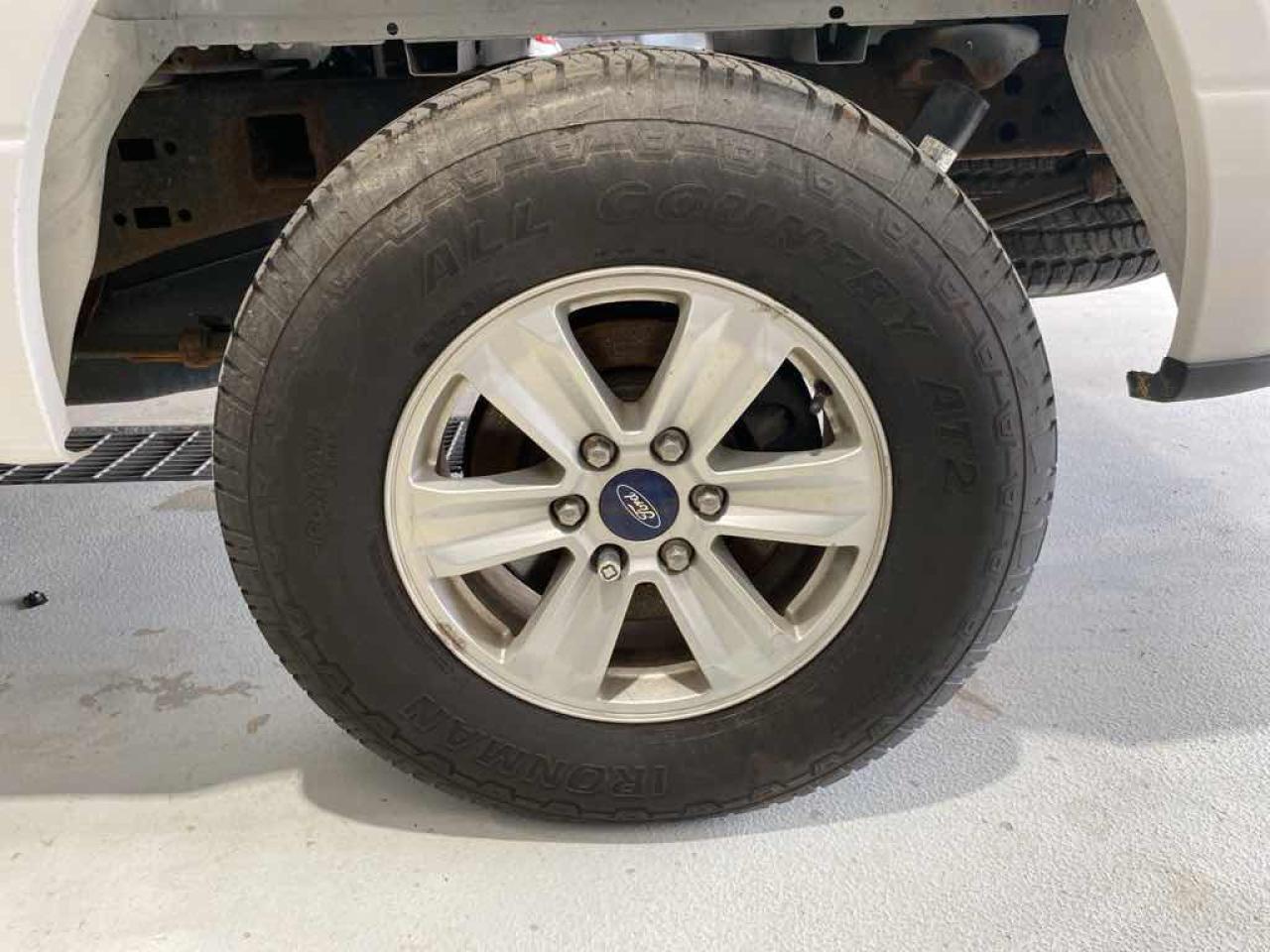 12635958