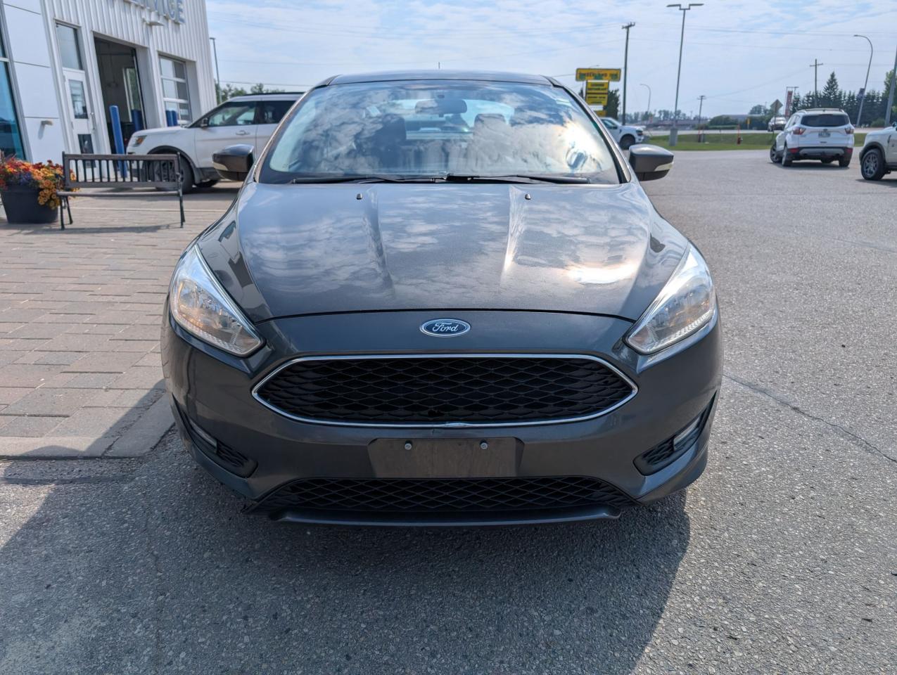 2015 Ford Focus SE Photo