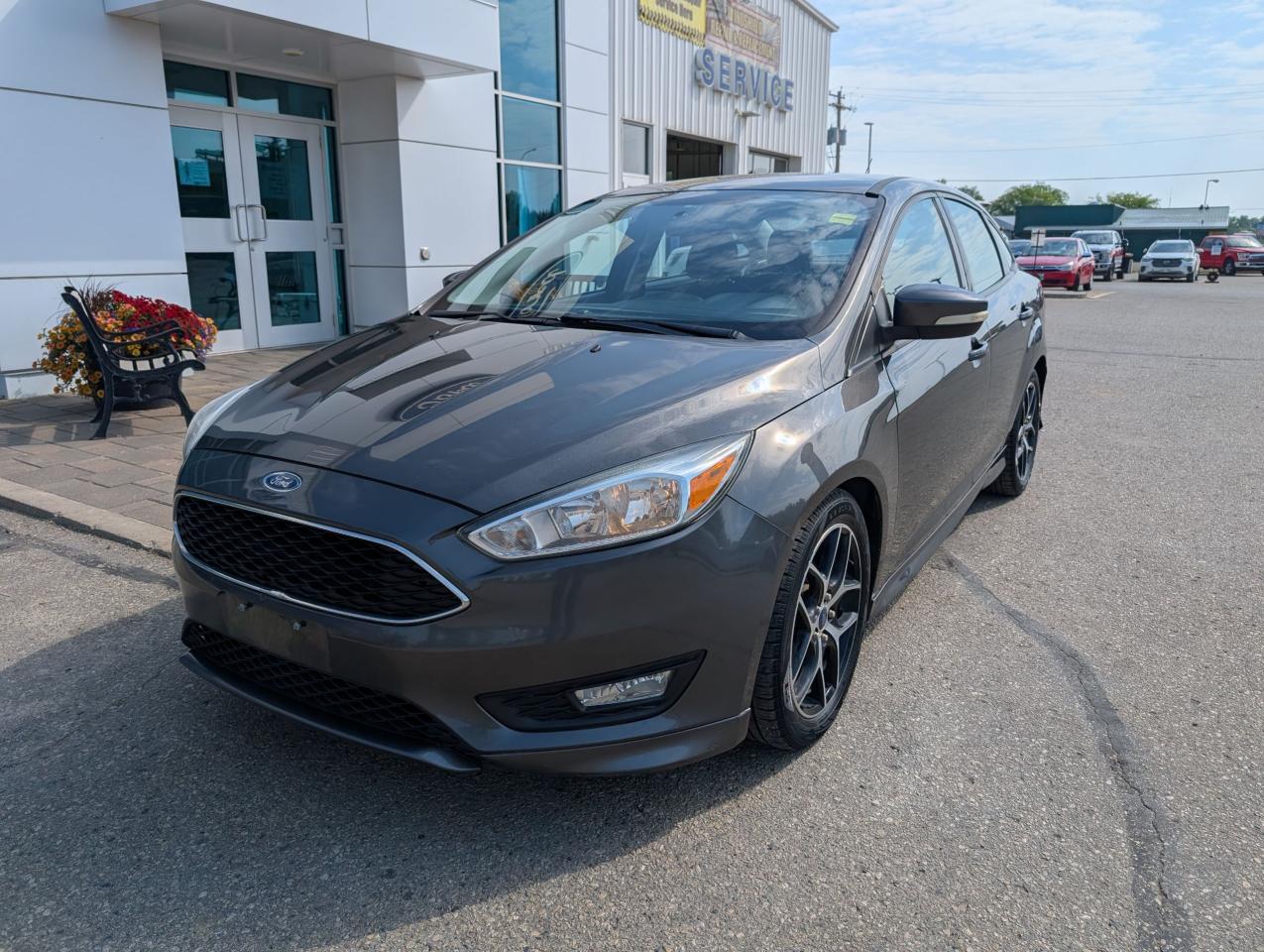 2015 Ford Focus SE Photo