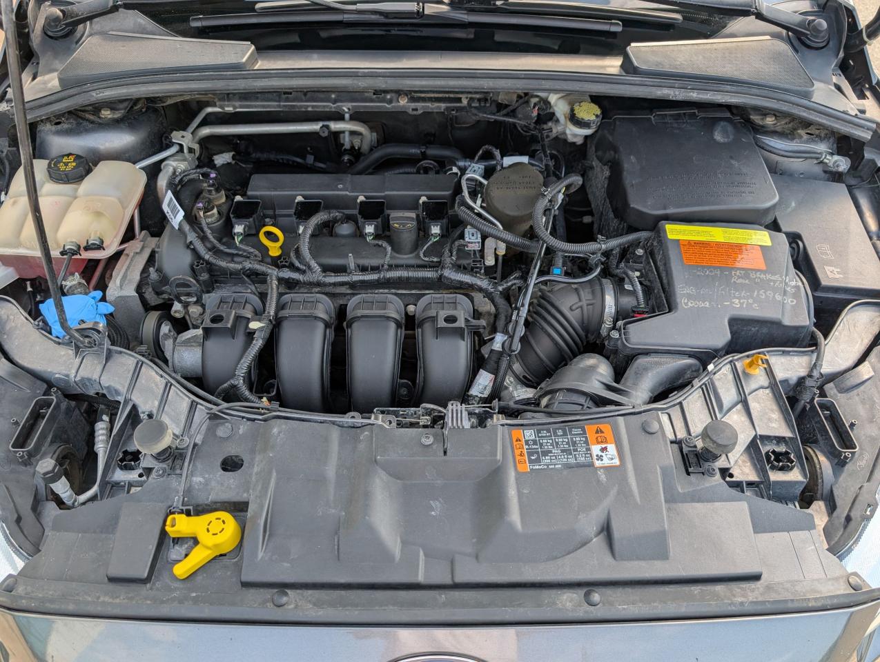 2015 Ford Focus SE Photo5
