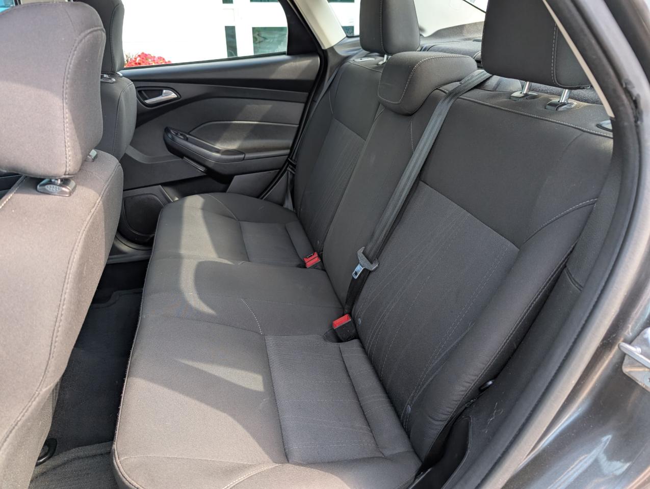 2015 Ford Focus SE Photo5