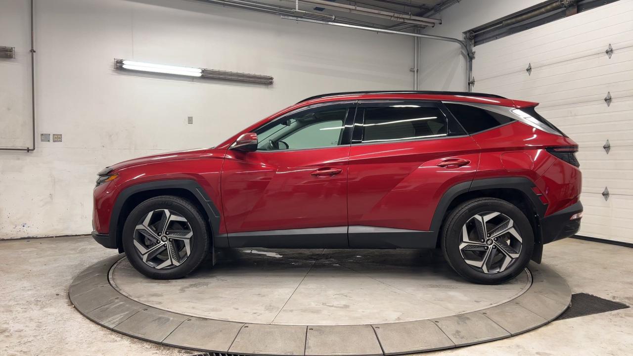 2022 Hyundai Tucson Hybrid ULTIMATE AWD | COOLED LEATHER | PANO ROOF| 360 CAM Photo4