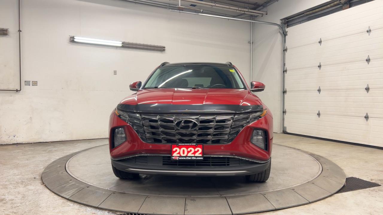 2022 Hyundai Tucson Hybrid ULTIMATE AWD | COOLED LEATHER | PANO ROOF| 360 CAM Photo2