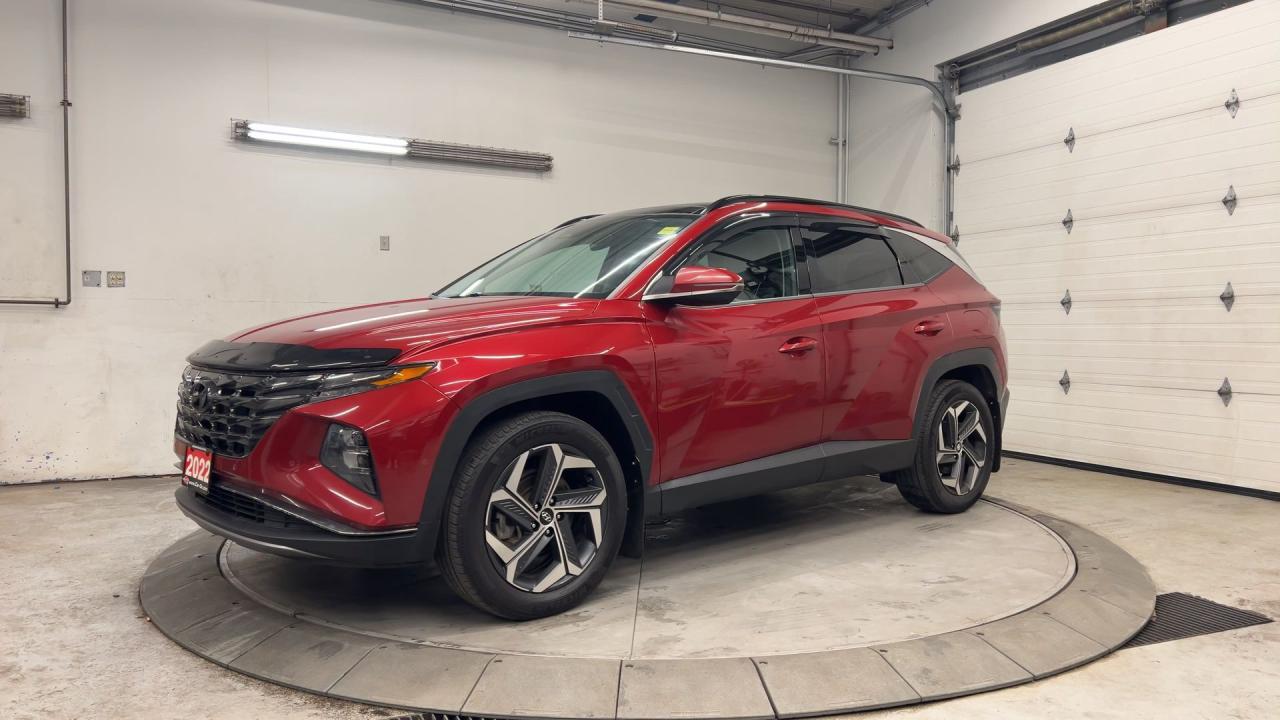 2022 Hyundai Tucson Hybrid ULTIMATE AWD | COOLED LEATHER | PANO ROOF| 360 CAM Photo3