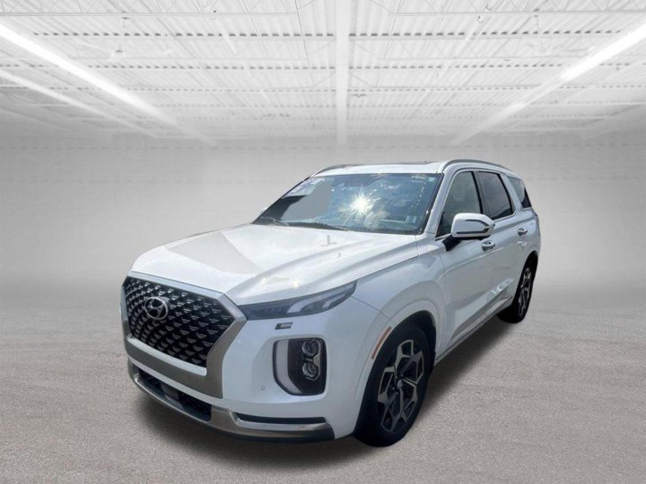 Used 2022 Hyundai PALISADE Ultimate Calligraphy for sale in Halifax, NS