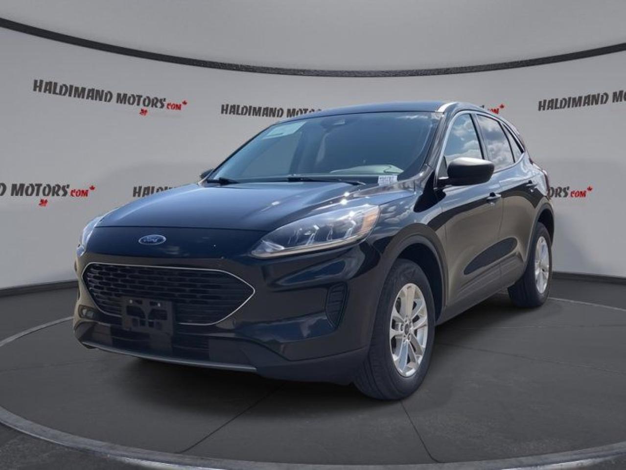 Used 2022 Ford Escape SE for sale in Cayuga, ON