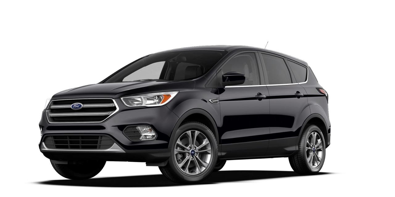 Used 2017 Ford Escape SE for sale in Vernon, BC