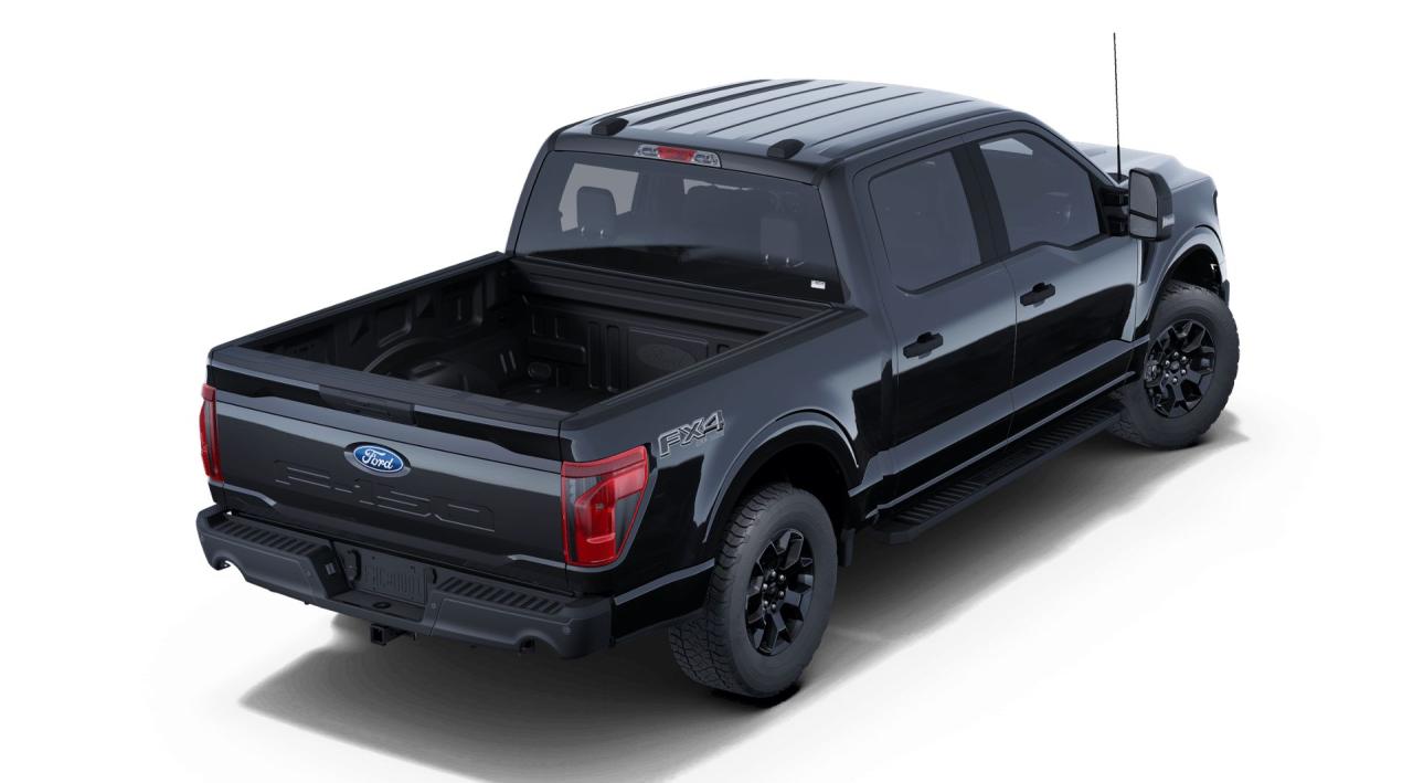 2025 Ford F-150 STX® Photo5