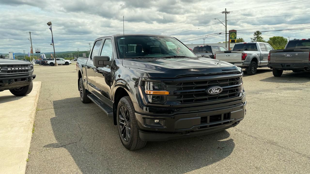 2025 Ford F-150 XLT Photo5